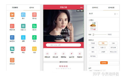 B2B2C多用戶商城系統,功能 渠道 架構 商業模式整合方案